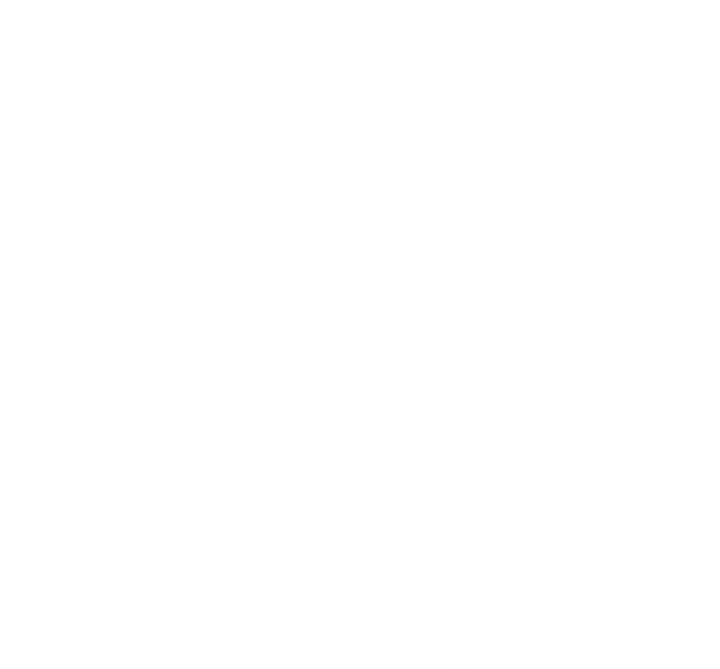 Studio Ivy